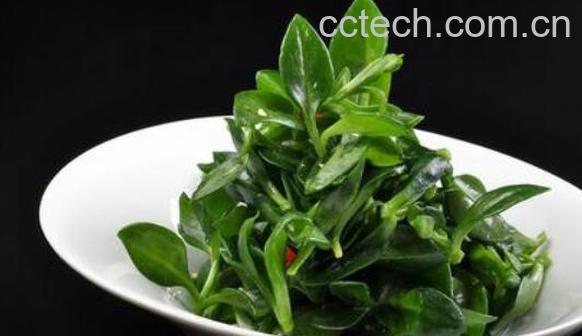 田七叶怎么吃 田七叶的食用方法-1