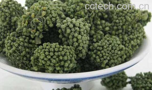 三七花的功效与作用及副作用-0