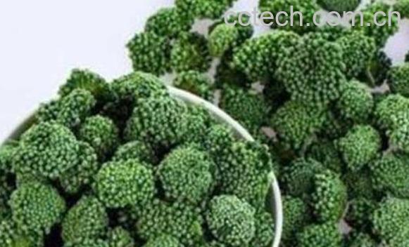 三七花的功效与作用及副作用-1