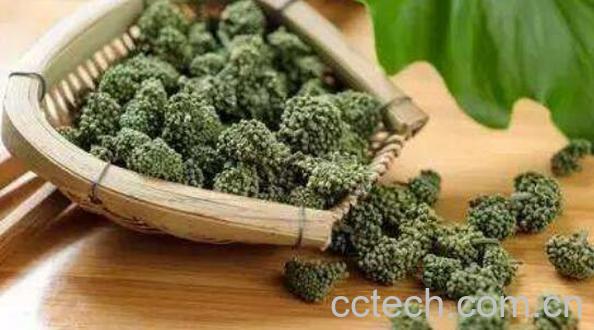 三七花泡水喝的功效与禁忌-1