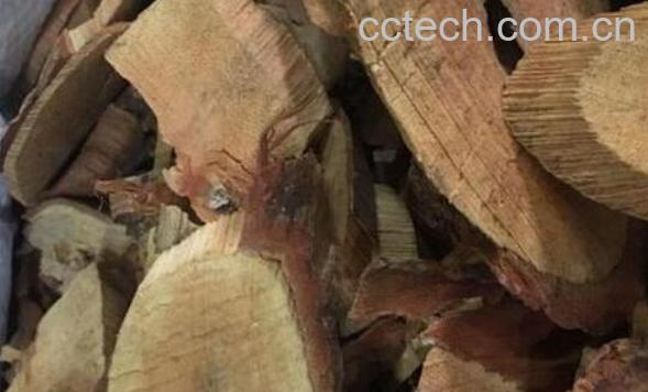 钩藤根的功效与作用及药用价值-0