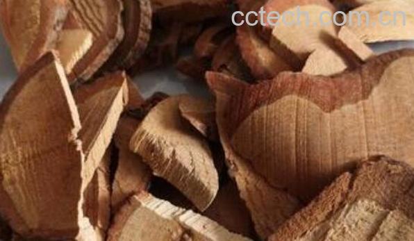 钩藤根的功效与作用及药用价值-1