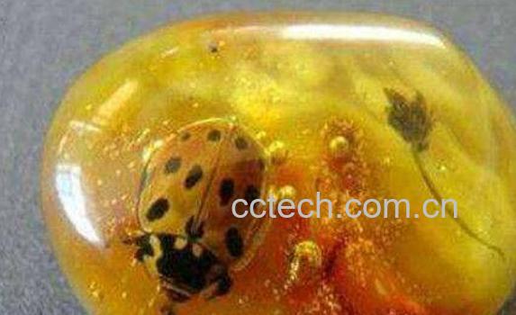 琥珀的功效与作用禁忌-0