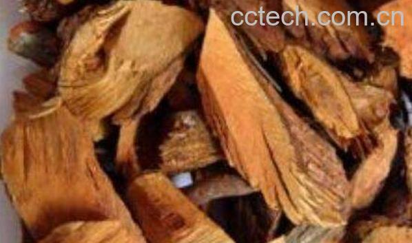 金樱子根有什么作用 金樱子根的功效与作用-0