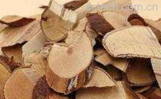 金樱子根有什么作用 金樱子根的功效与作用-1