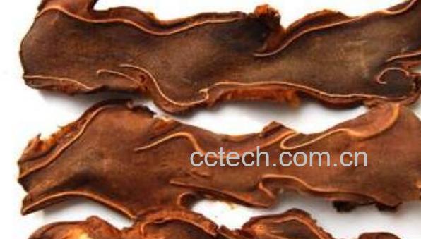 狗脊与炙狗脊的区别 狗脊的功效-1