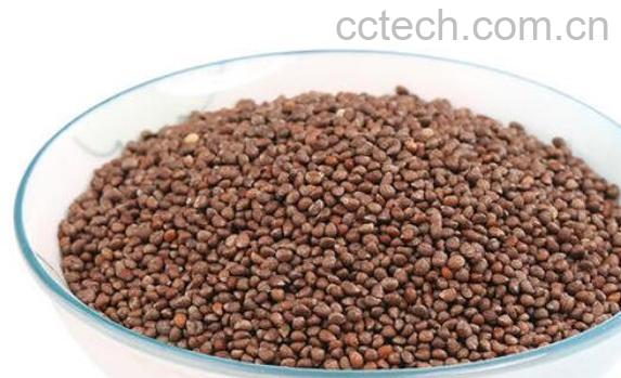 生苏子怎样做好吃 生苏子怎样煮好吃-0