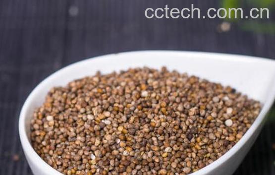 熟苏子怎么做好吃 吃苏子的好处-0