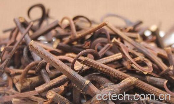 钩藤的功效与作用及禁忌-1