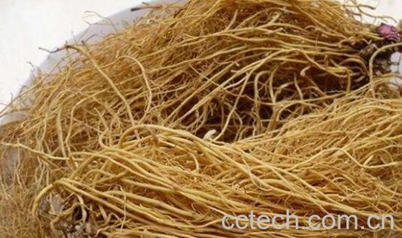 北细辛的功效与作用及禁忌-1