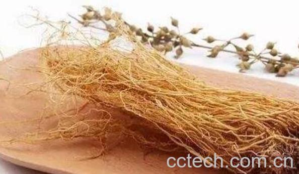 北细辛的功效与作用及禁忌-0