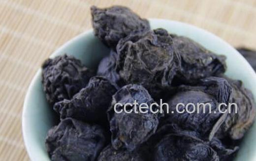 中药炒乌梅的功效与作用-0