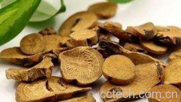 生白芍和炒白芍的区别 白芍的功效与作用-1