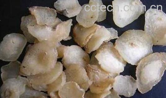 法半夏和清半夏的区别 清半夏的功效-1