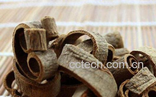 姜厚朴的功效与作用 姜厚朴的副作用与禁忌-1