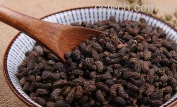 女贞子与酒女贞子的区别 女贞子的功效-0