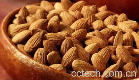 紫苏杏仁的功效与作用-1