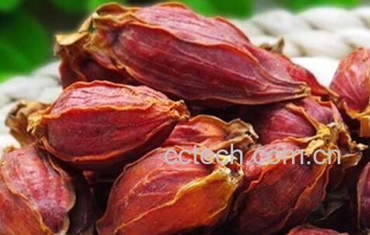 栀子果的功效和作用-1