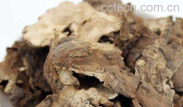 白茯苓皮的功效与作用-0