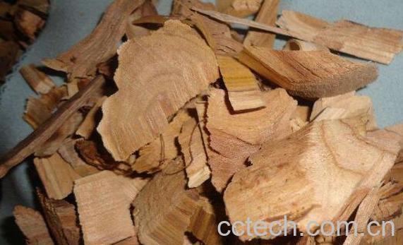 刺五加根的药用功效与作用-0