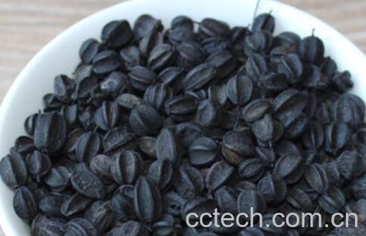 刺拐棒j的功效与作用-1