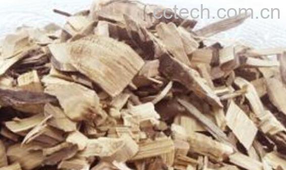 刺五加根的药用功效与作用-1