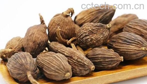 草果桂皮的功效与作用-0