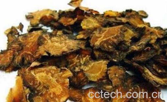 当归川穹的功效与作用-0