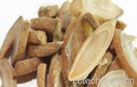 广郁金的功效与作用-1