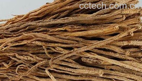 潞党参的功效与作用-1