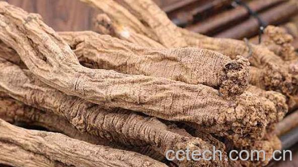 潞党参的功效与作用-0