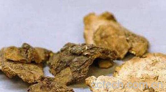 茯苓皮的功效与作用及禁忌-1