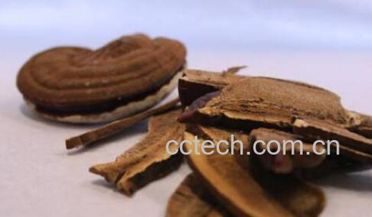 草灵芝与木灵芝的区别-0