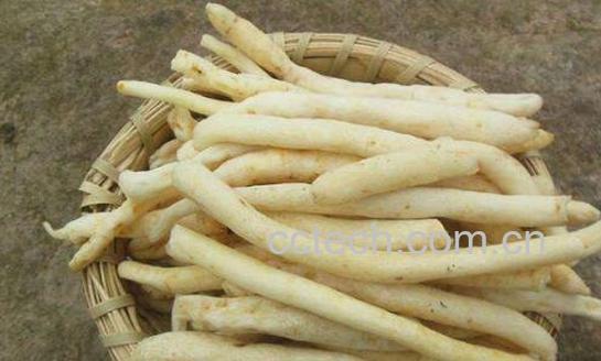 明党参的功效与作用 明党参怎么吃-1