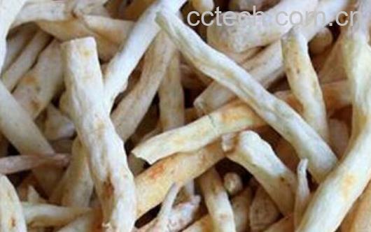 明党参的功效与作用 明党参怎么吃-0