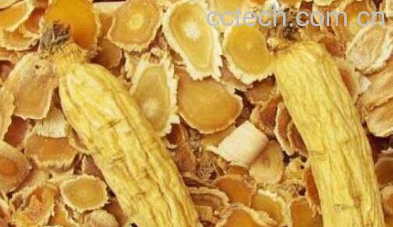 东洋参的功效与作用 东洋参什么时候喝最好-0