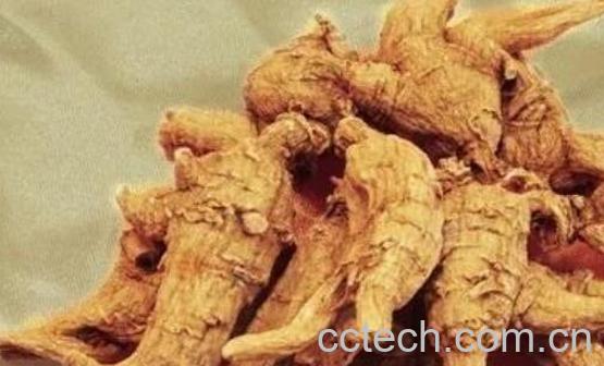 东洋参的功效与作用 东洋参什么时候喝最好-1