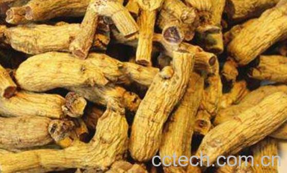 东洋参和牛蒡的区别 吃东洋参的好处-0