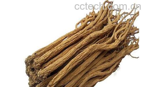 土党参和党参的区别-0