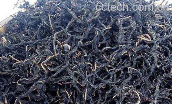 干芝麻叶的功效与作用有哪些-0