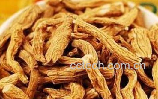 雪参泡水喝有什么功效-0