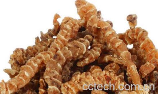 雪参什么人不能吃 雪参的禁忌-0