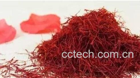 藏红花的功效与作用 藏红花的药用价值-1