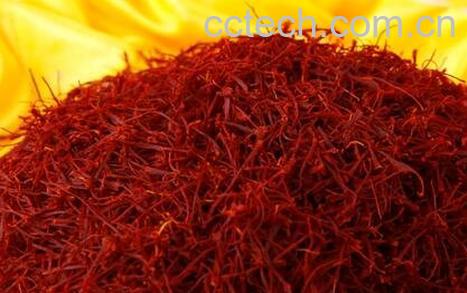 藏红花的功效与作用 藏红花的药用价值-0