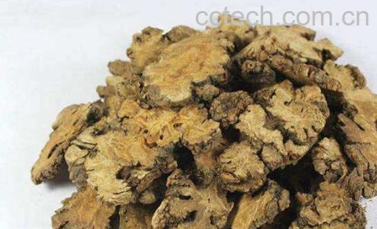 川穹的功效与作用及药用价值-0