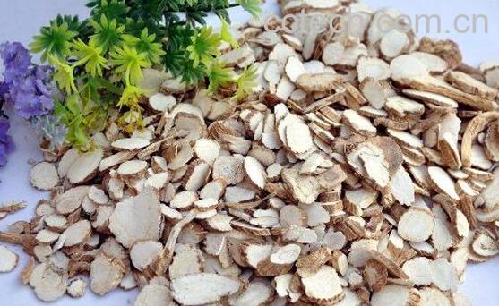 白芷的功效与作用 白芷的副作用与禁忌-0