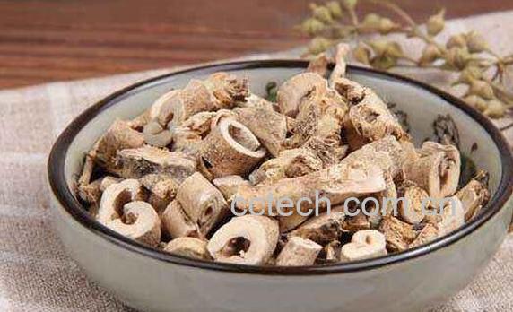 白鲜皮的功效与作用 白鲜皮的药用价值-0