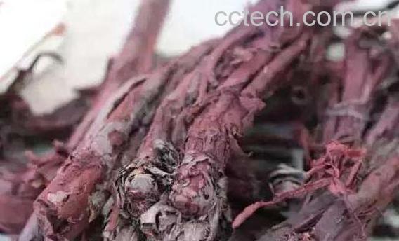 紫草的功效与作用及禁忌-0