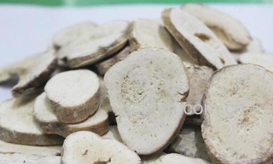 天花粉的功效与作用及禁忌-0