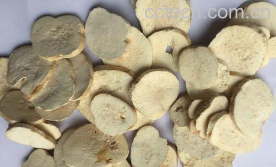 天花粉的功效与作用及禁忌-1